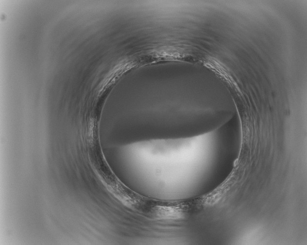 X0000060260167200511010922