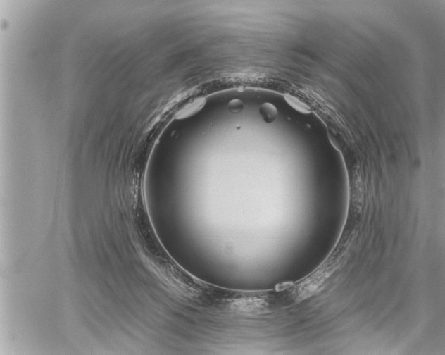 X0000060260168200511010922