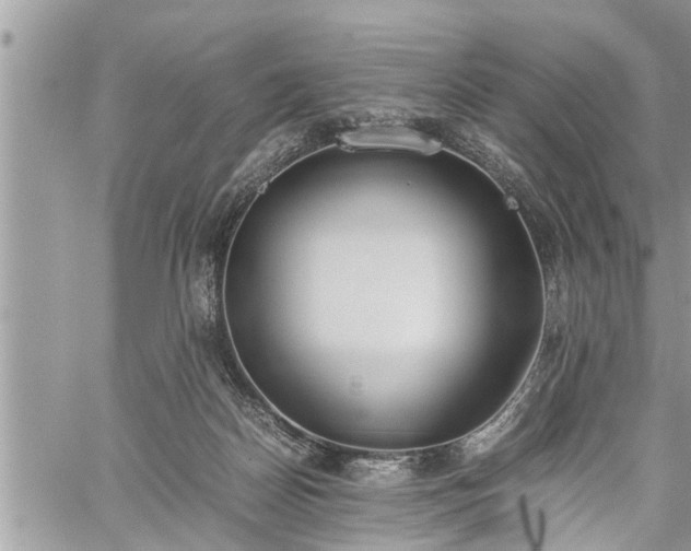 X0000060260170200511010922