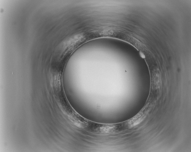 X0000060260172200511010922