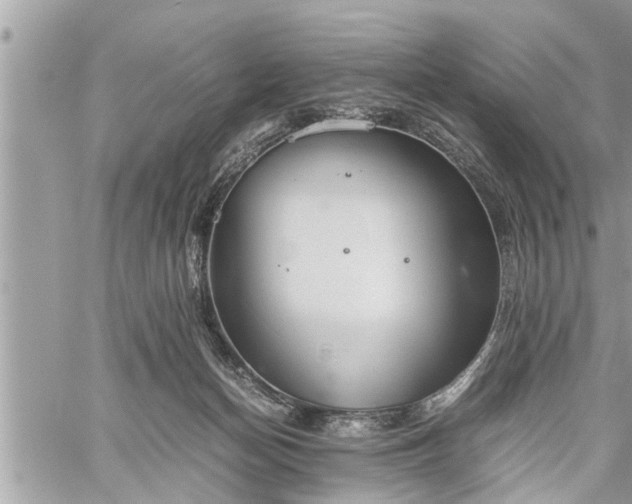 X0000060260174200511010922