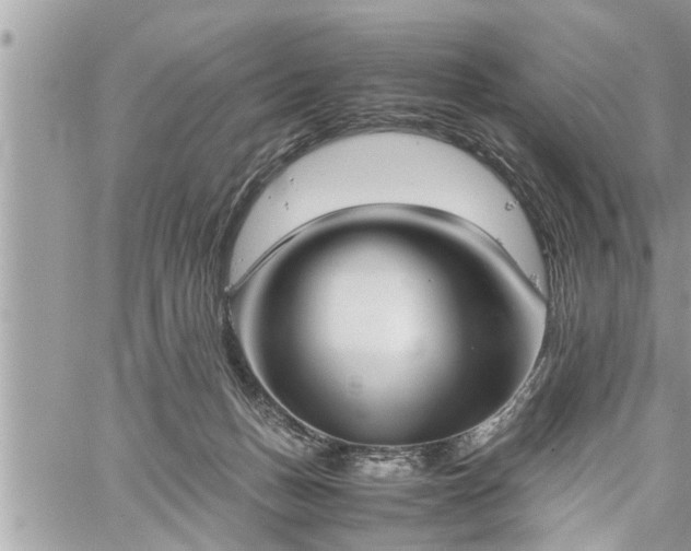 X0000060260175200511010922