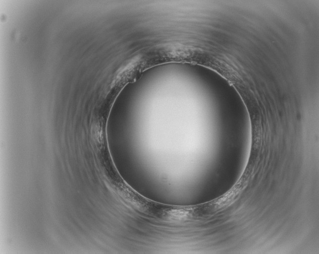 X0000060260176200511010922