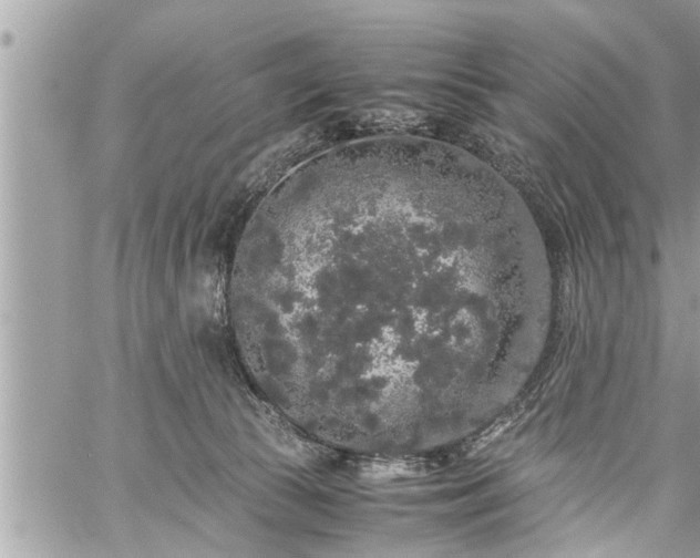 X0000060260177200511010922