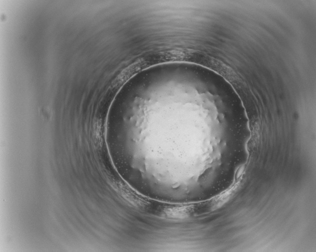 X0000060260178200511010922