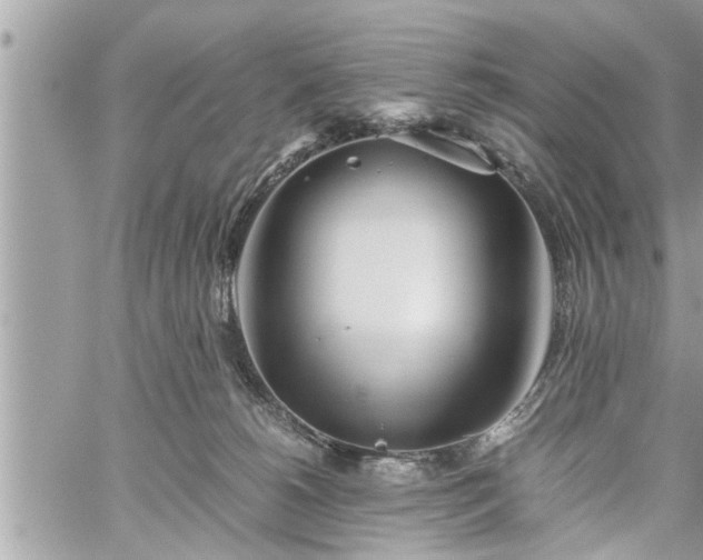 X0000060260180200511010922