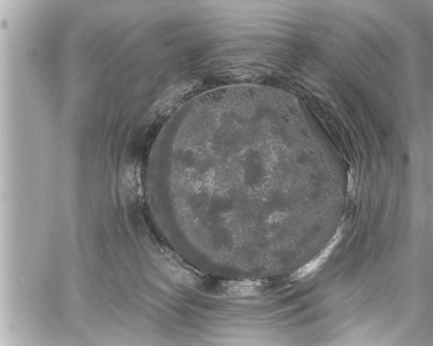 X0000060260182200511010922