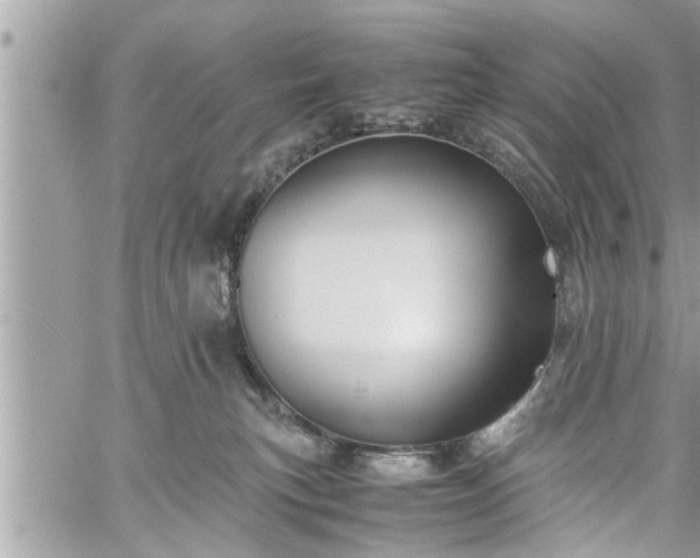 X0000060260183200511010922