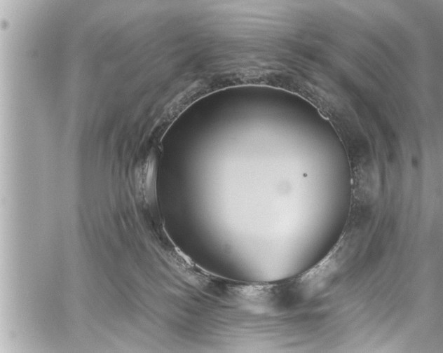 X0000060260184200511010922