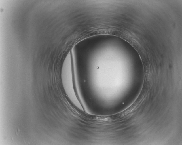 X0000060260185200511010922