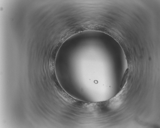 X0000060260186200511010922