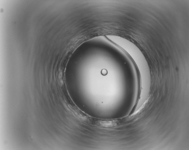 X0000060260187200511010922