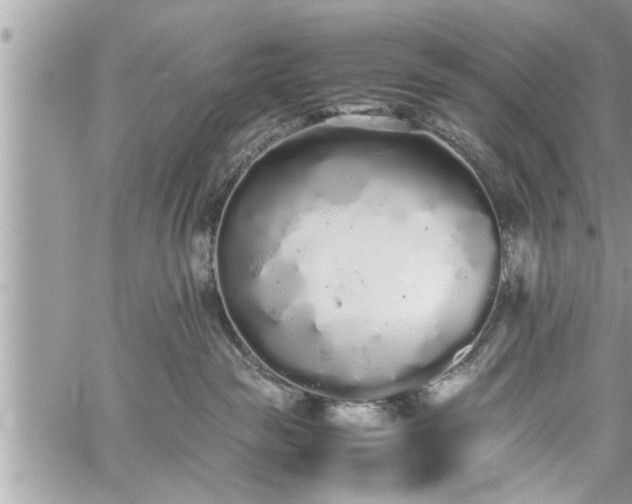 X0000060260189200511010922