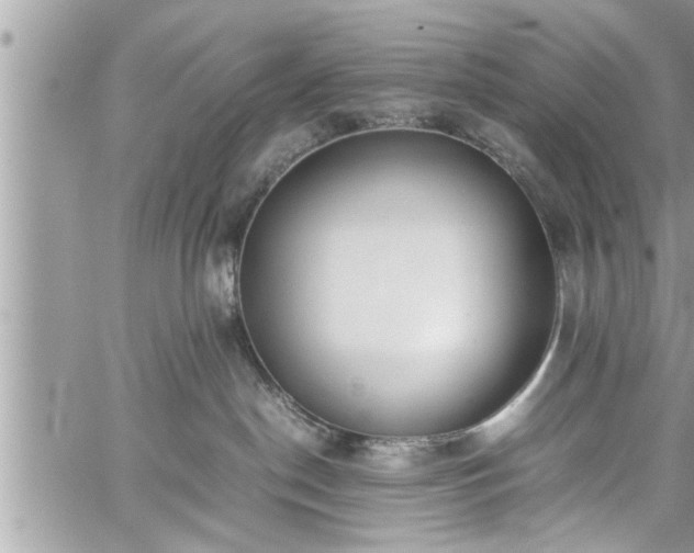 X0000060260190200511010922