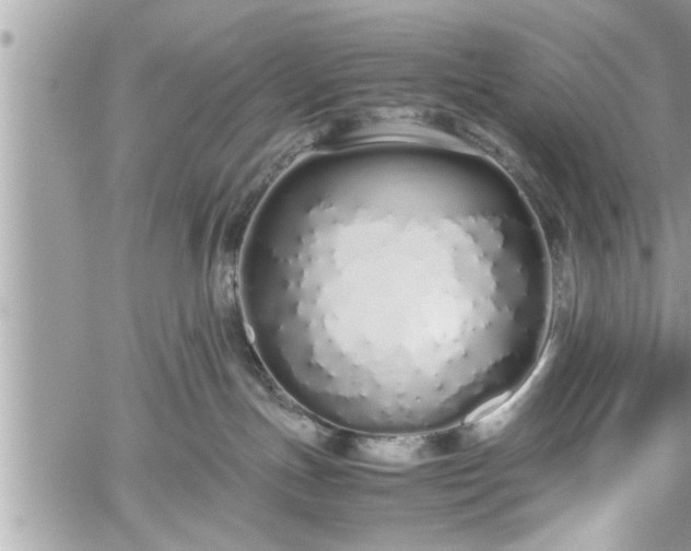 X0000060260191200511010922