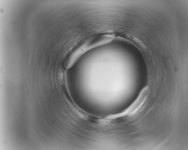 X0000060260192200511010922