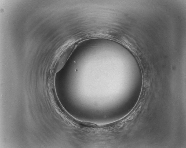 X0000060260193200511010922