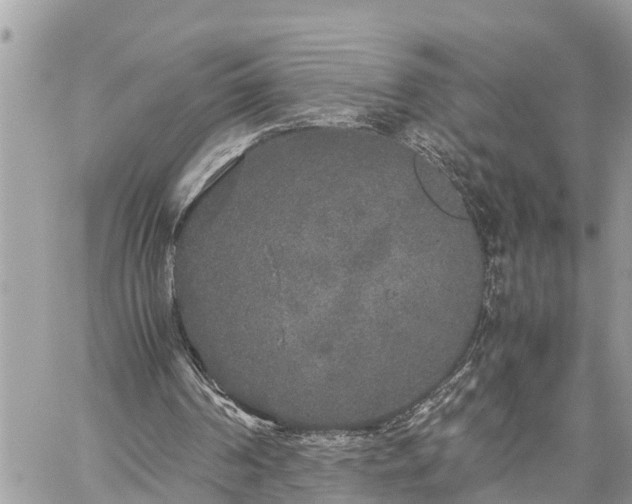 X0000060260194200511010922