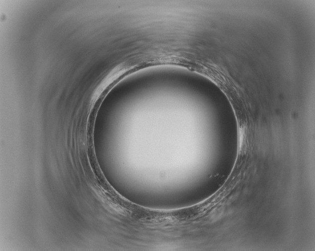 X0000060260195200511010922