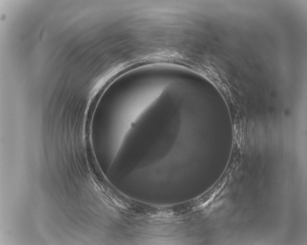 X0000060260196200511010922