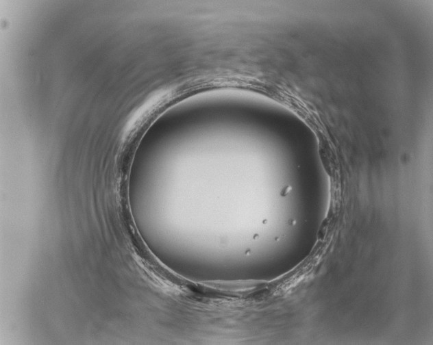 X0000060260197200511010922