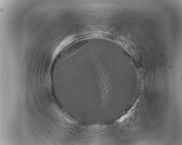 X0000060260198200511010921