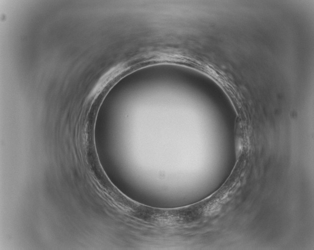 X0000060260199200511010921