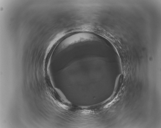 X0000060260200200511010921