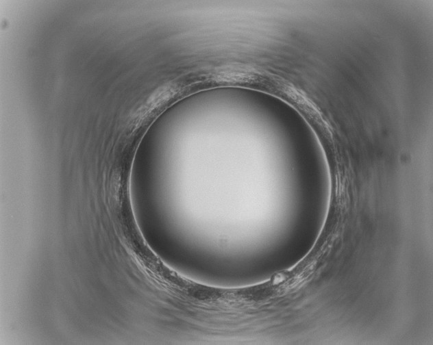 X0000060260201200511010921