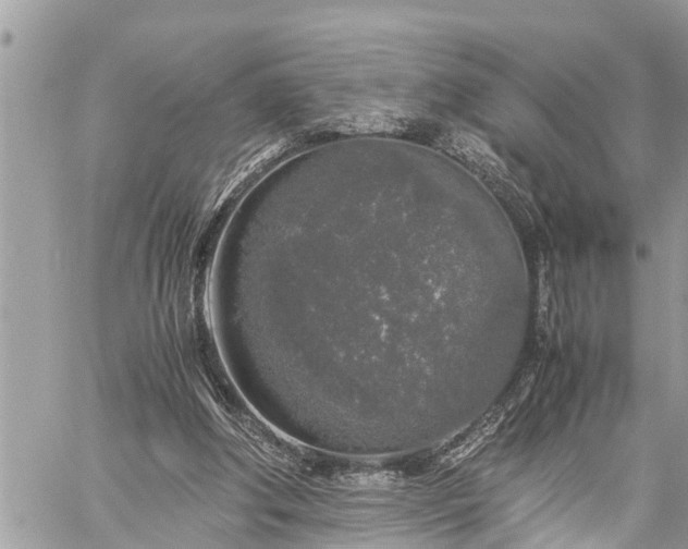 X0000060260202200511010921