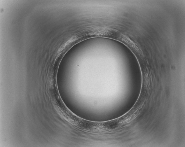 X0000060260203200511010921