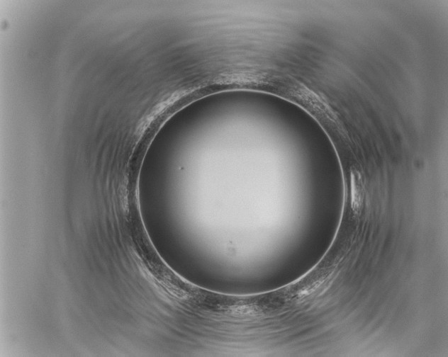 X0000060260204200511010921