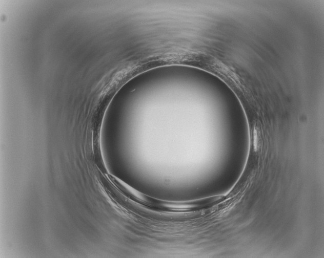 X0000060260205200511010921