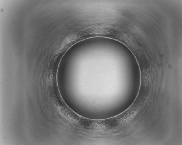 X0000060260207200511010921