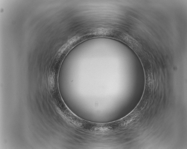 X0000060260208200511010921