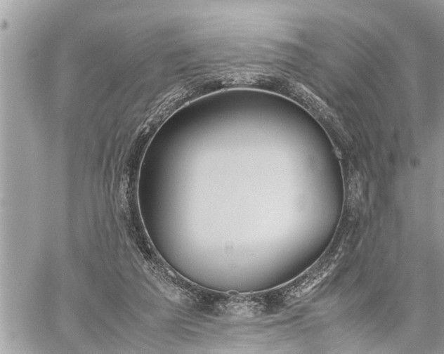 X0000060260209200511010921