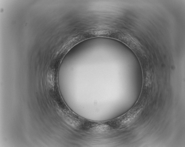 X0000060260210200511010921