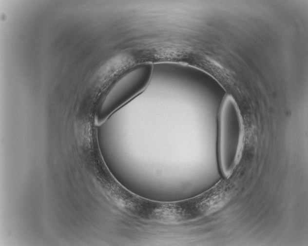 X0000060260211200511010921