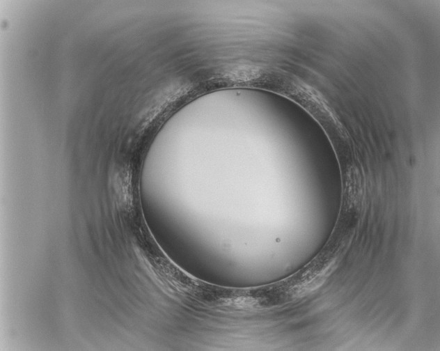 X0000060260212200511010921