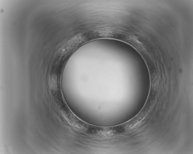 X0000060260213200511010921