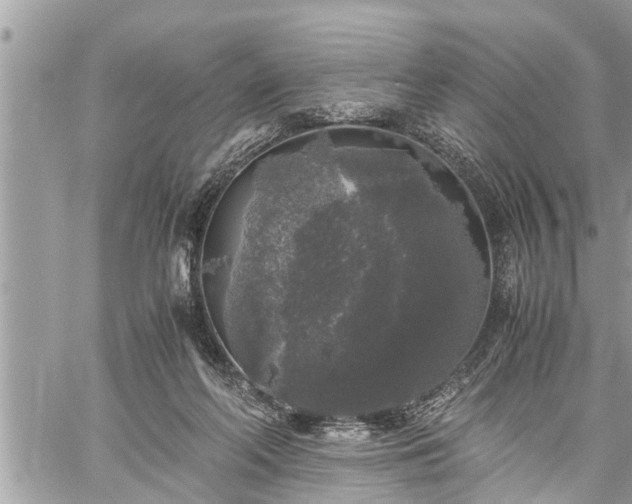 X0000060260214200511010921