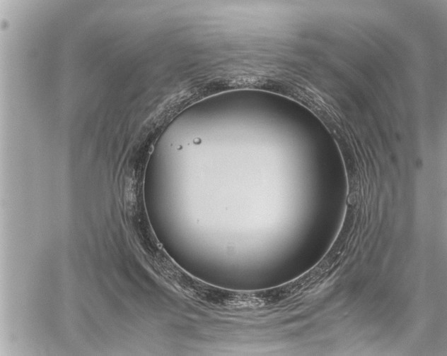 X0000060260215200511010921