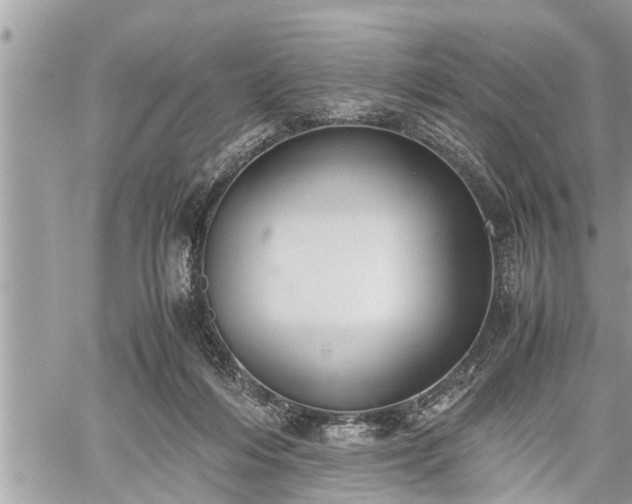 X0000060260216200511010921