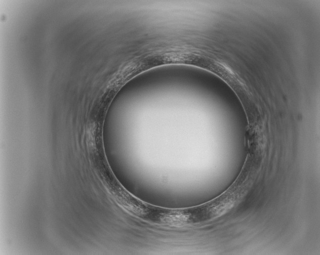 X0000060260217200511010921