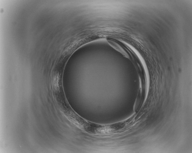 X0000060260219200511010921