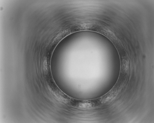 X0000060260220200511010921