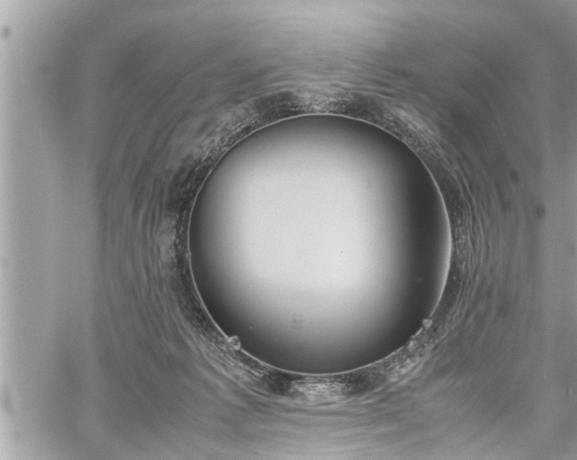 X0000060260221200511010921