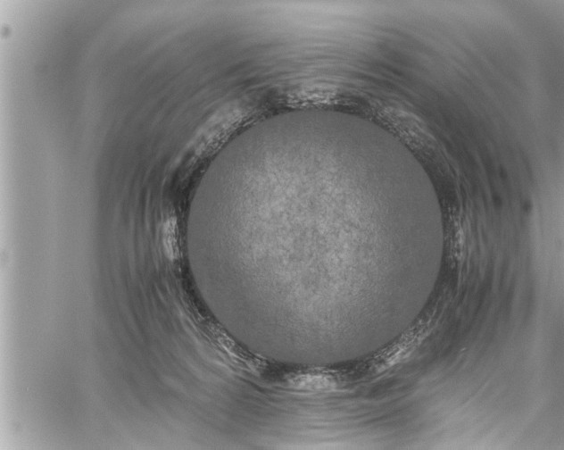 X0000060260224200511010921