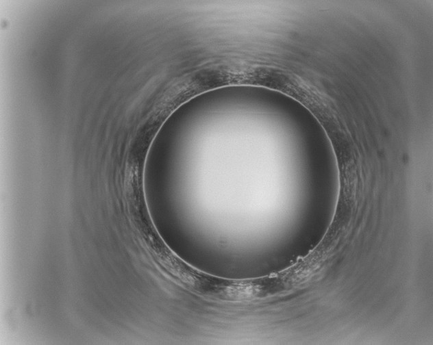 X0000060260225200511010921