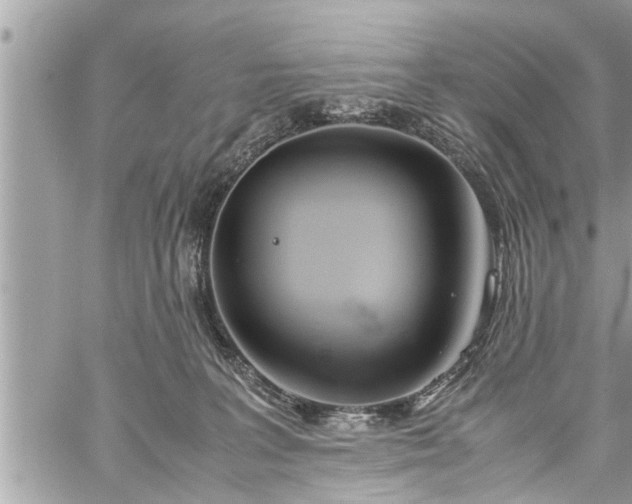 X0000060260227200511010921